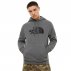The North Face Drew Peak Hoodie (NF00AHJYLXS) The North Face Drew Peak Hoodie (NF00AHJYLXS)