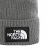 The North Face TNF Logo Beanie (NF0A3FJXDYY) The North Face TNF Logo Beanie (NF0A3FJXDYY)